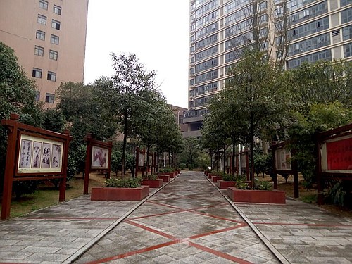 樂(lè)坪街道書(shū)畫(huà)2.jpg